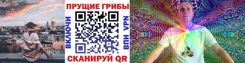 где купить наркотик  Кудрово  Галлюциногенные грибы прущие грибы 