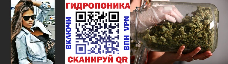 Марихуана сатива  Кудрово 